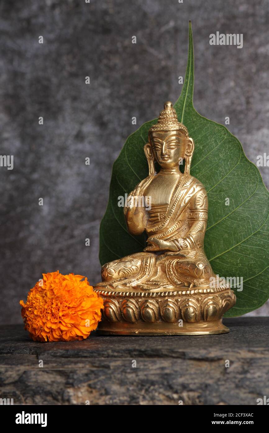 Gautama Buddha Statue vor dem Hintergrund des pipal Blatt Stockfoto