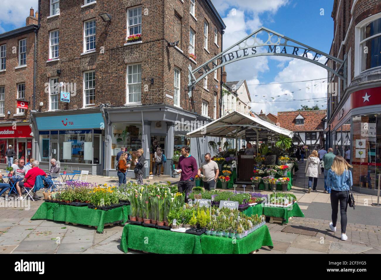 Blumen und Pflanzen Stand Shambles Market, Jubbergate, York, North Yorkshire, England, Vereinigtes Königreich Stockfoto