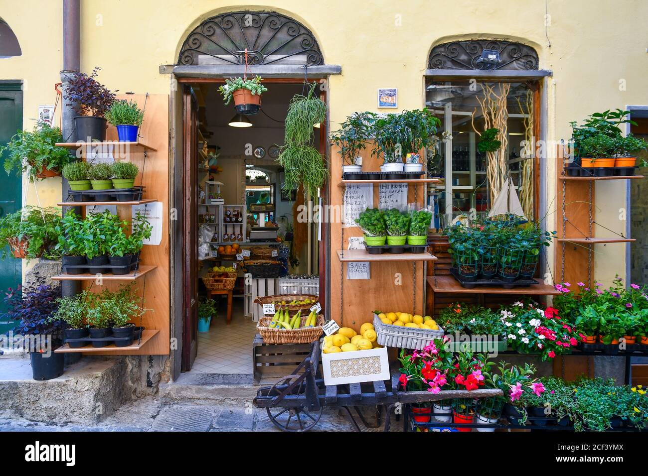 Ein kleines Lebensmittelgeschäft mit blühenden Pflanzen, Kräutern und Früchten auf dem Bürgersteig im alten Fischerdorf, Porto Venere, La Spezia, Italien Stockfoto