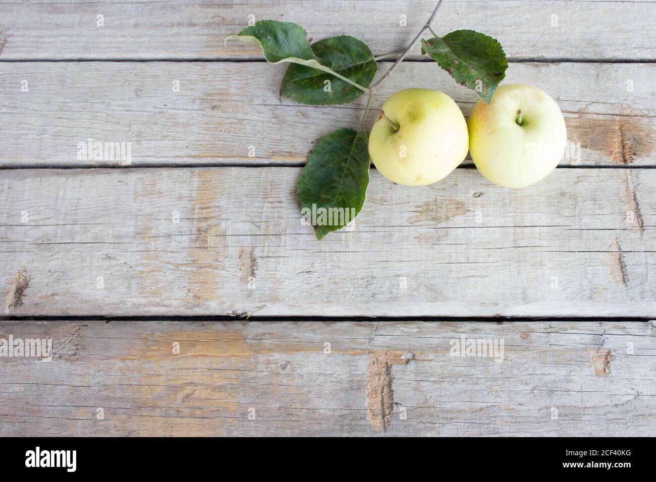 Äpfel auf einem hölzernen Hintergrund. Sommerkonzept Stockfoto