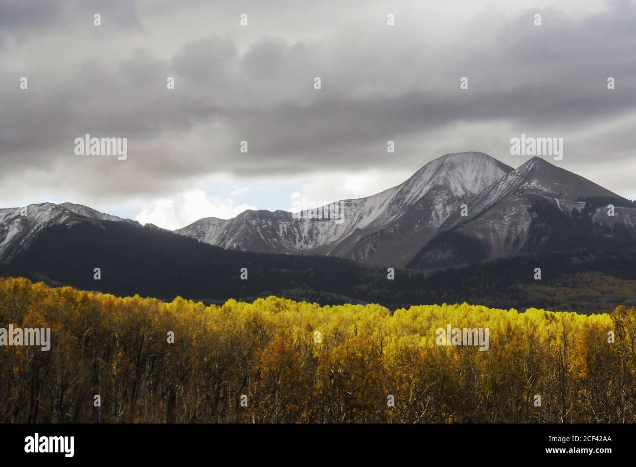 Sturmwolken sammeln sich um die schneebedeckten Gipfel der La Sal Mountains in Utah, USA, mit Aspen in goldenen Herbstfarben, die vom letzten Sonnenlicht beleuchtet werden Stockfoto