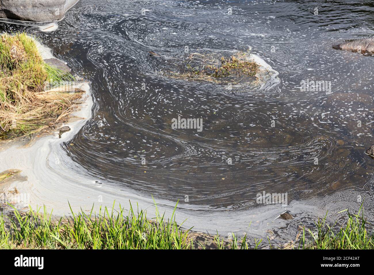 Flussufer mit verschmutztem Wasser durch Waschmittel oder Seife. Umweltschäden Stockfoto