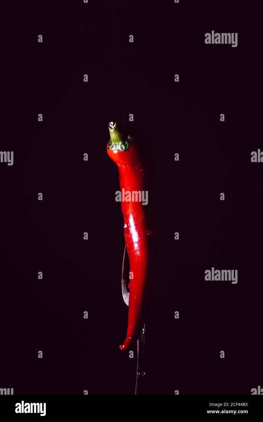 Rote Chilischote in Gabel auf schwarzem Hintergrund mit Rauch Stockfoto