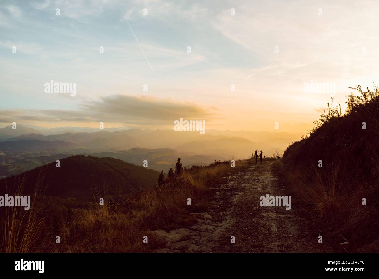 Seitenansicht des homosexuellen Paares umarmt in der Nähe Hund auf dem Weg Bei Dunkelheit und malerischer Blick auf Tal im Nebel Stockfoto