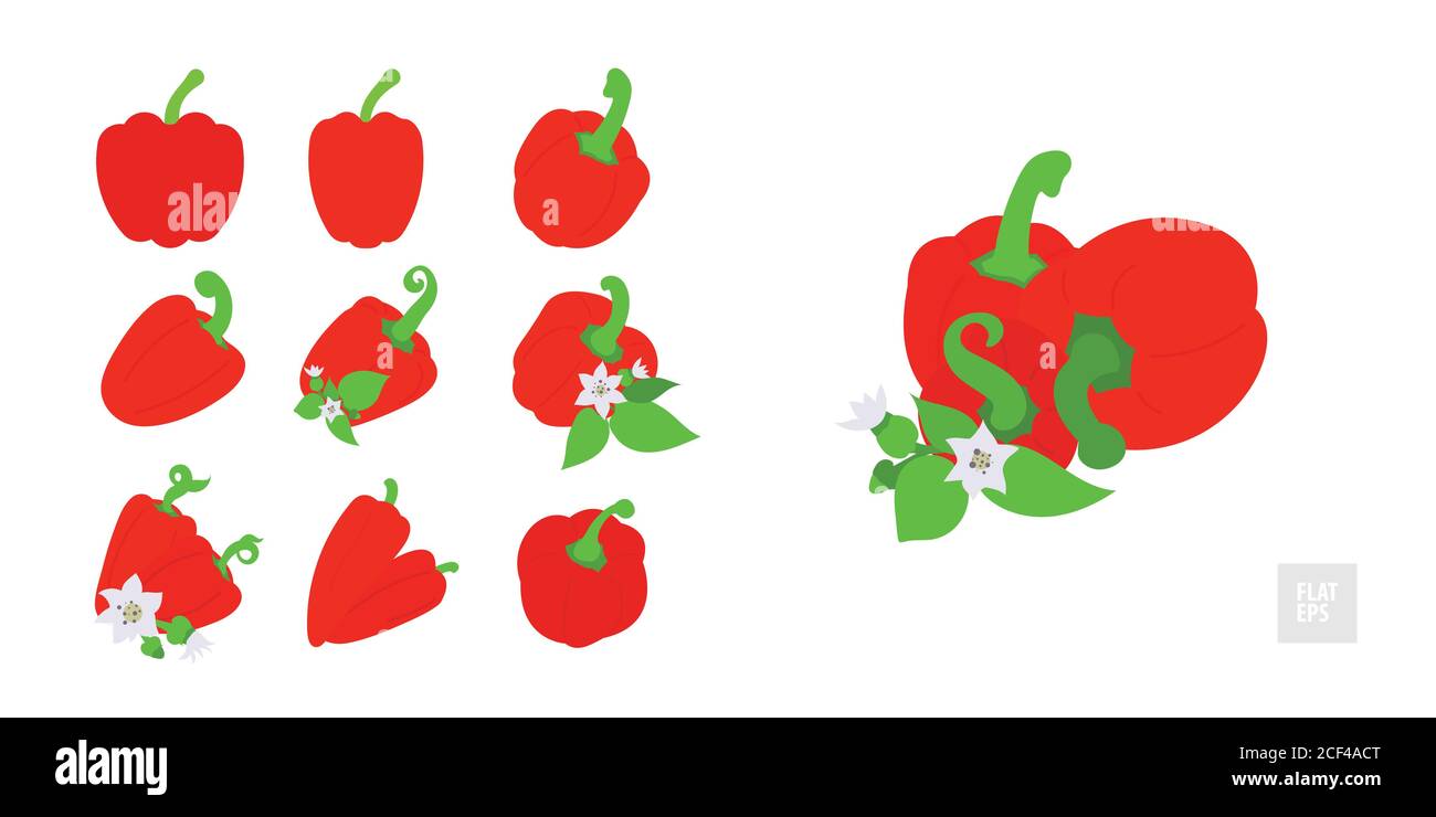 Rote Paprikaschoten Set. Verschiedene Paprika im Sortiment mit Blättern, Knospen und Blumen. Design für Lebensmittel, kulinarische Produkte, Gewürz und Spice pa Stock Vektor