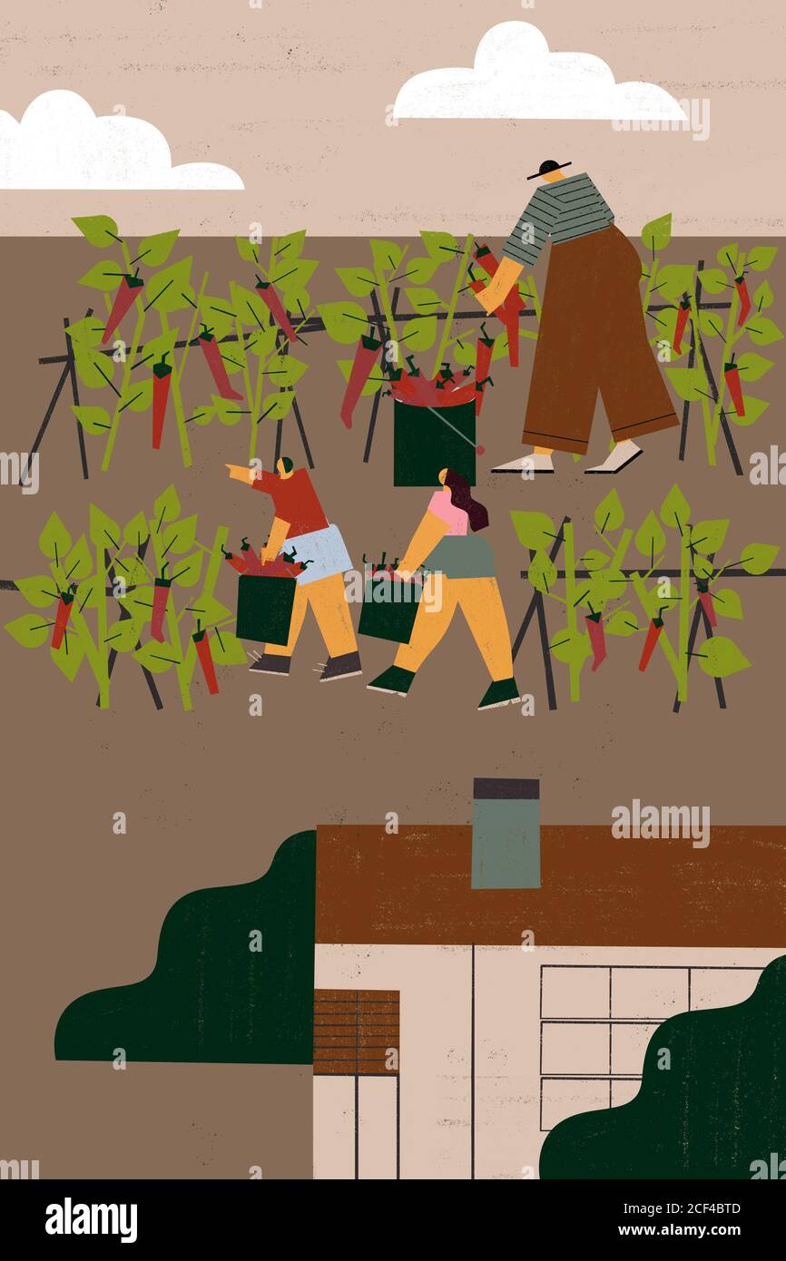 Senioren und Kinder lehren und tun Gartenarbeit und Landwirtschaft zusammen. Konzept für generationsübergreifende Familienverbindungen. Stockfoto