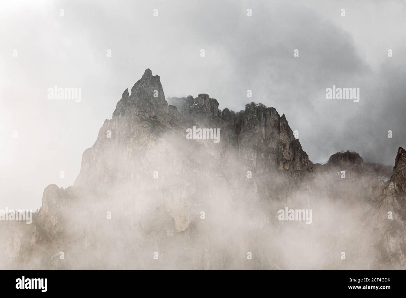 Kiefernwald mit mächtigen großen Klippen und bewölktem Himmel auf Hintergrund in den Dolomiten bei Italien Stockfoto