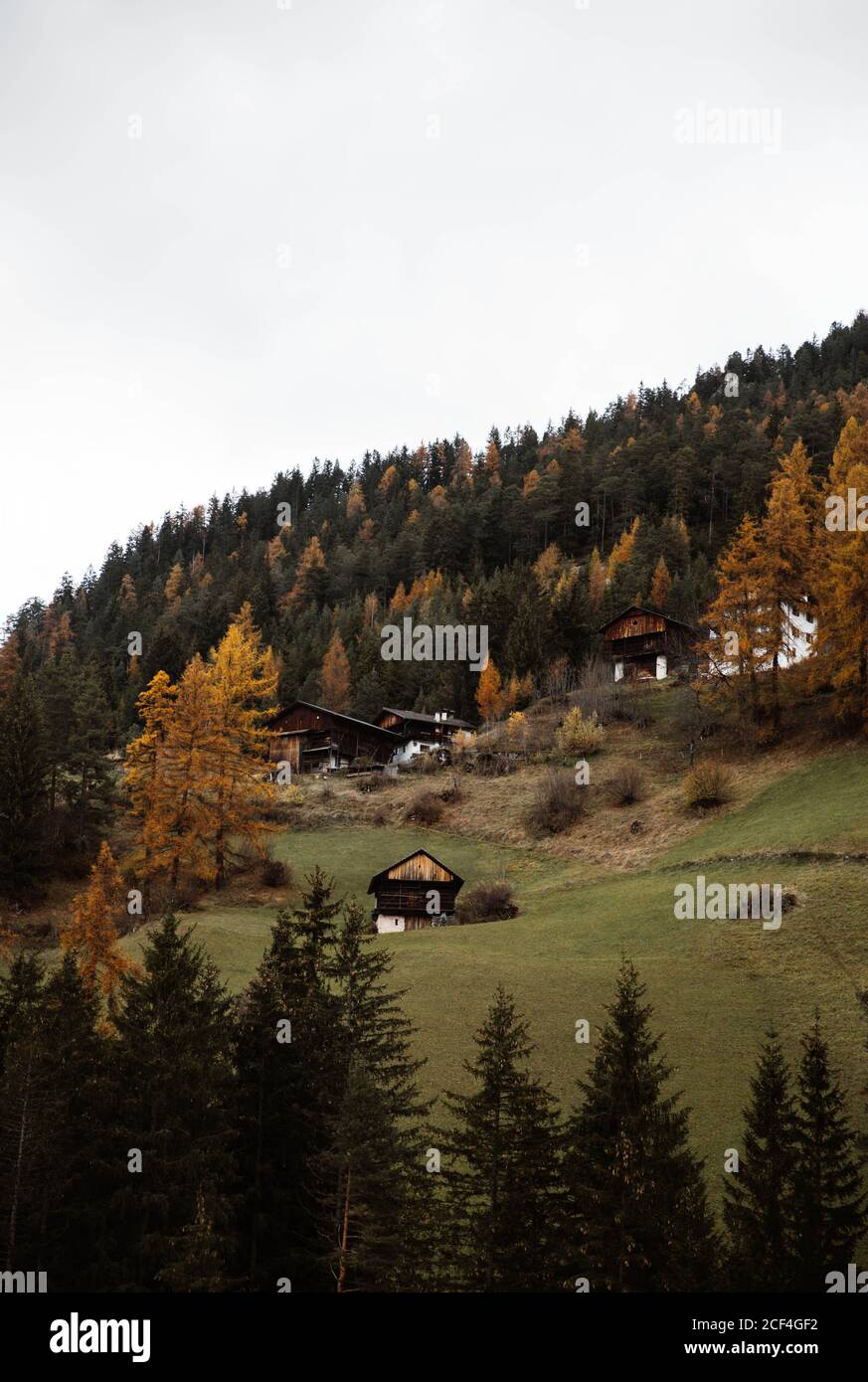Mystery Herbst Landschaft der Landschaft am Ufer des Sees mit Bunte Bäume und wolkiger Himmel in den Dolomiten bei Italien Stockfoto