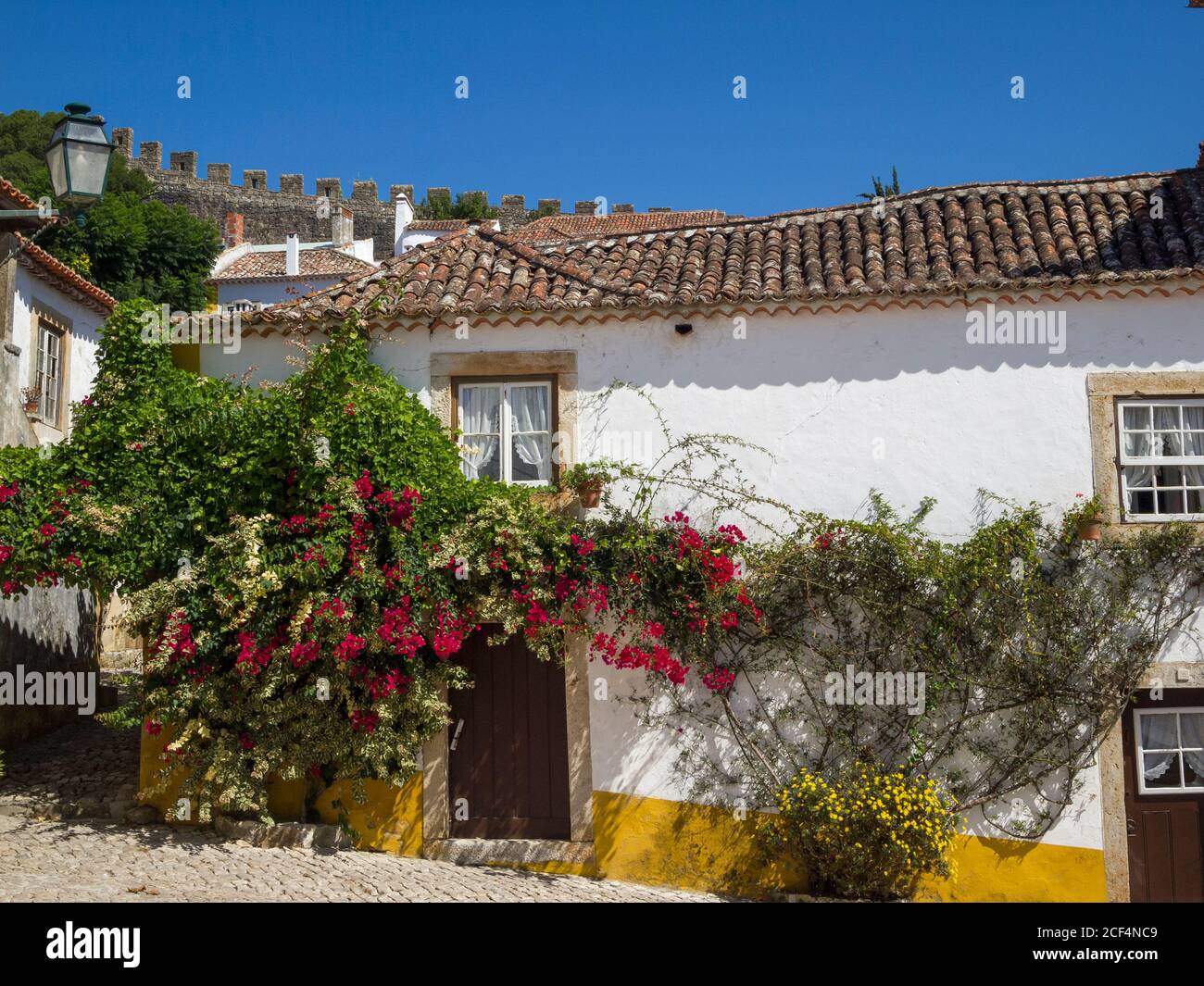 Weiß bemaltes Haus im Kolonialstil mit Pflanze im Dorf Óbidos in der Provinz Estremadura - Portugal. Stockfoto