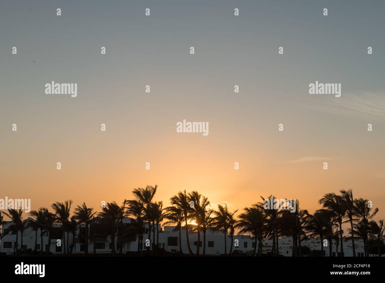 Majestätischer Blick auf den wunderbaren Sonnenaufgangshimmel über modernen Gebäuden und Palmen am Morgen in der Kleinstadt Stockfoto