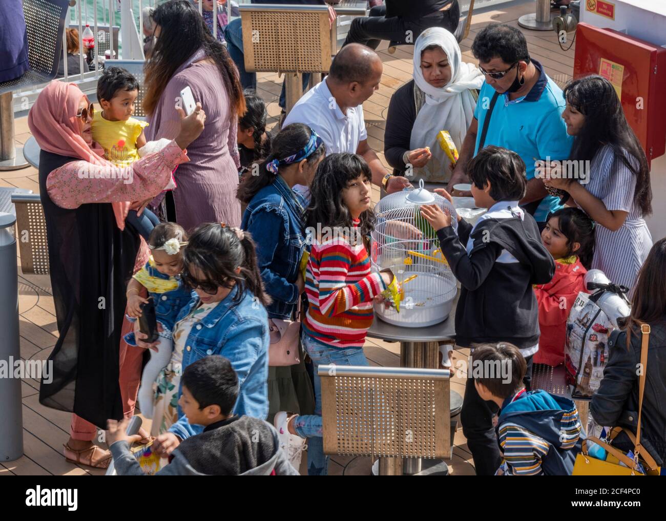 Eine große indische oder ethnische BAME-Gruppe von Familien treffen sich in einem großen Treffen zusammen. Stockfoto