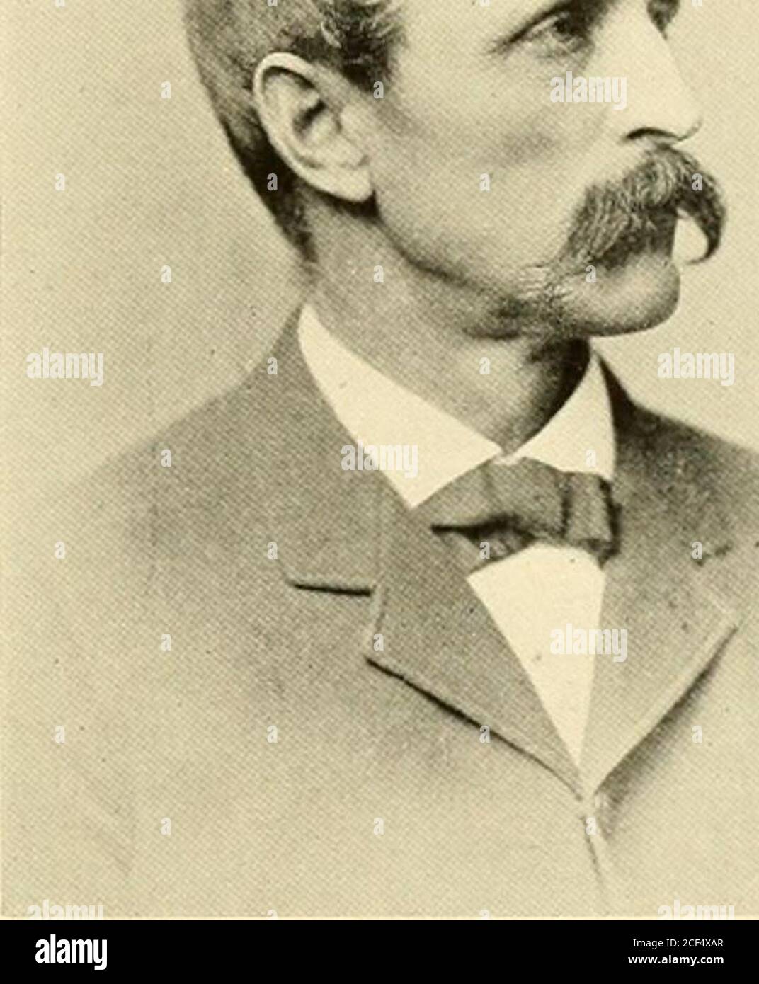 . Universitäten und ihre Söhne; Geschichte, Einfluss und Eigenschaften der amerikanischen Universitäten, mit biographischen Skizzen und Porträts von Alumni und Empfänger von Ehrentitel. t von RobertWilliams, kam in dieses Land etwa 1638 und siedelte in Ro.xbury, Massachusetts. Solomon wurde von Harvard in 1719, erhielt hisMasters Degree in Kurs, und nach einem Kurs oftheological Studium wurde zum Ministerium ordiniert und über die Kirche in Libanon, Connecticut, im Jahr 1722. Er hielt diese Anklage bis zu seinem Tod, ein Zeitraum von 54 Jahre, fast gleich in der Länge der ser-Vice der Pas Stockfoto