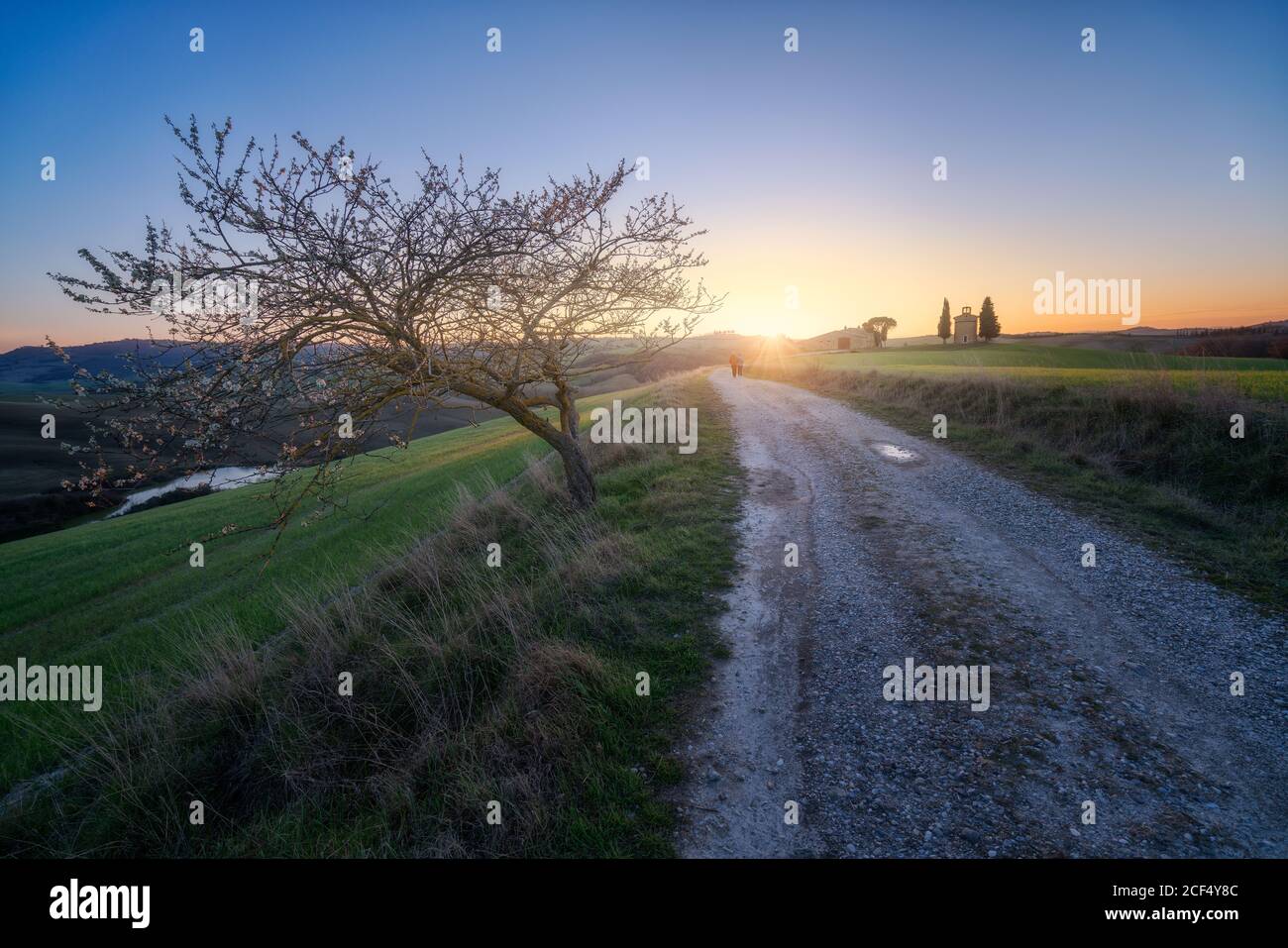 Leere Landstraße in majestätischen grünen Feldern von Italien Stockfoto