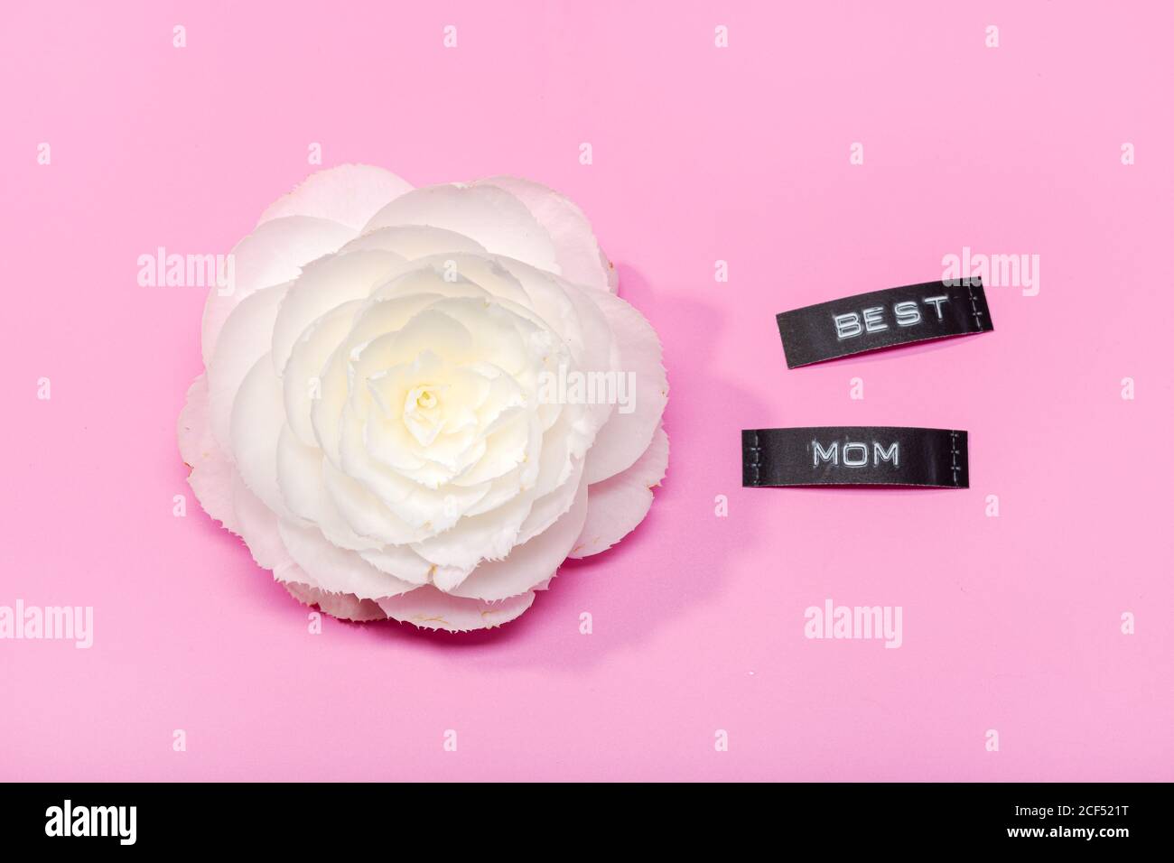 Schöne Blume isoliert auf einem rosa Hintergrund mit besten Mama Label. Muttertagskonzept Stockfoto