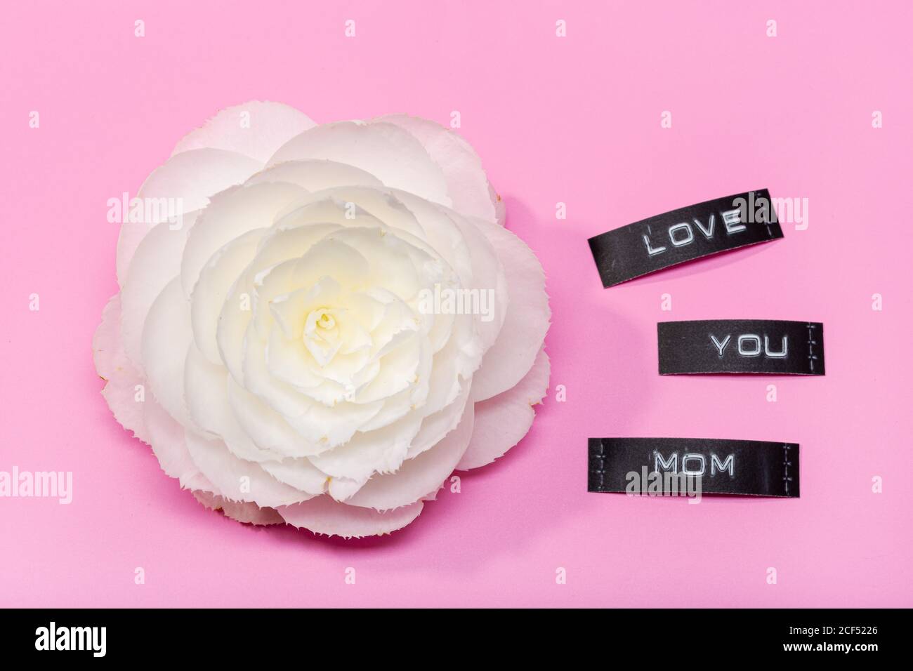 Schöne Blume isoliert auf einem rosa Hintergrund mit Liebe Sie Mama Label. Muttertagskonzept Stockfoto