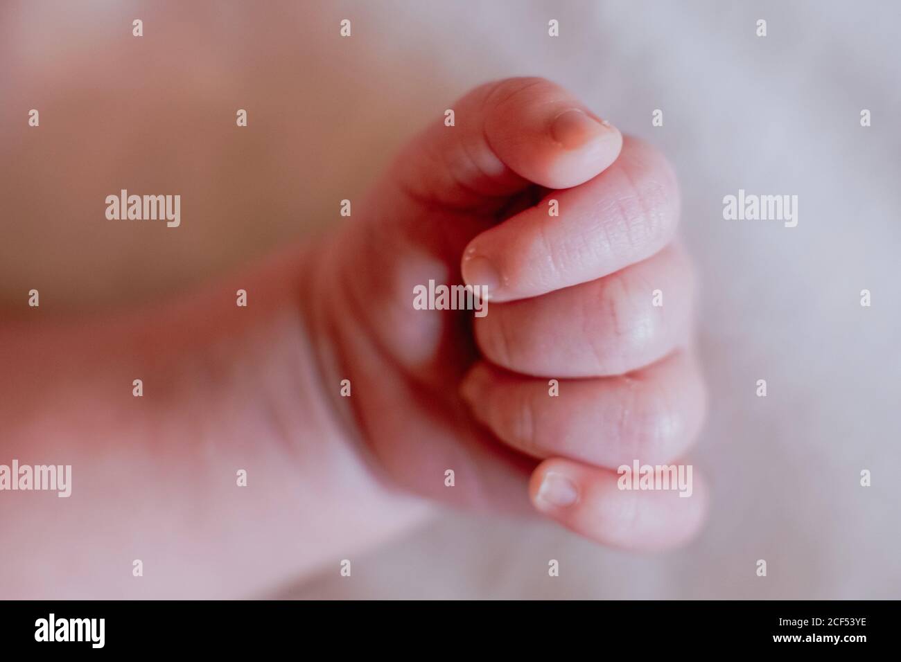 Von oben Nahaufnahme Hand der Ernte ruhig Säugling mit rosa Haut und niedliche kleine Finger gegen verschwommenes weißes Bettlaken Im hellen Schlafzimmer Stockfoto