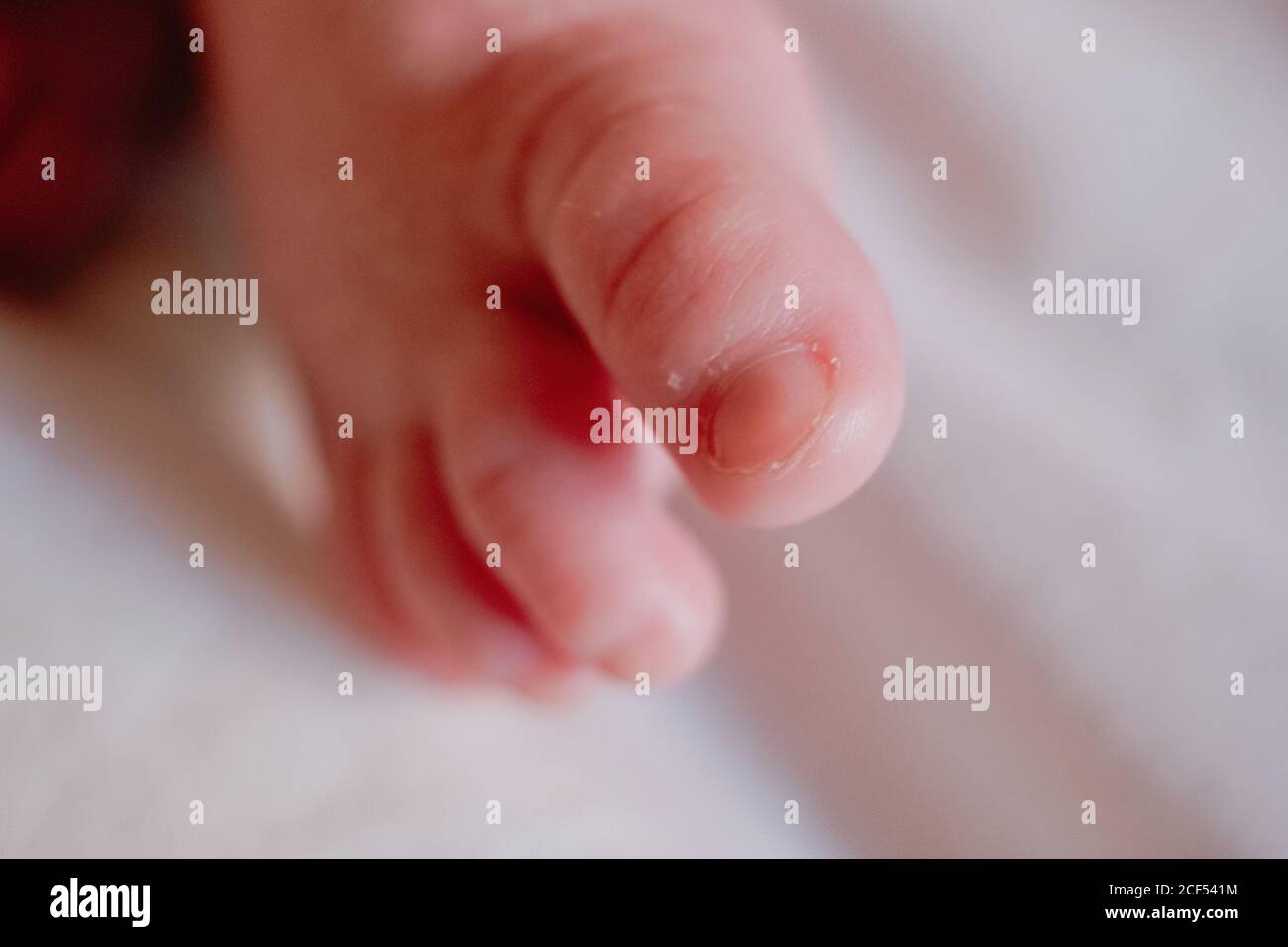 Hoher Winkel der Nahauffüße von unkenntlich ruhigen Säugling mit Rosa Haut und winzige Zehen gegen verschwommenes weißes Bettlaken Zu Hause Stockfoto