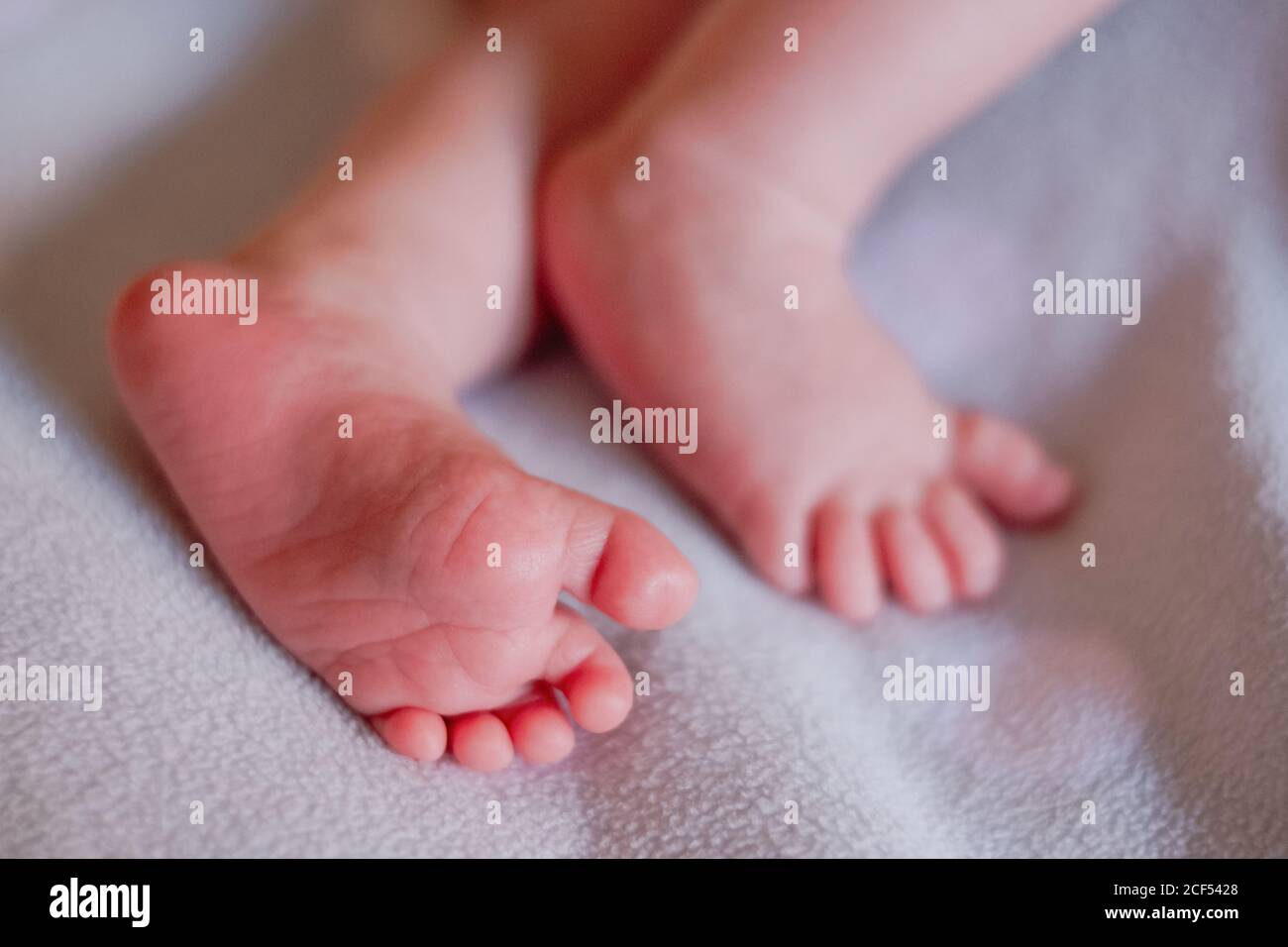Hoher Winkel der Nahauffüße von unkenntlich ruhigen Säugling mit Rosa Haut und winzige Zehen gegen verschwommenes weißes Bettlaken Zu Hause Stockfoto