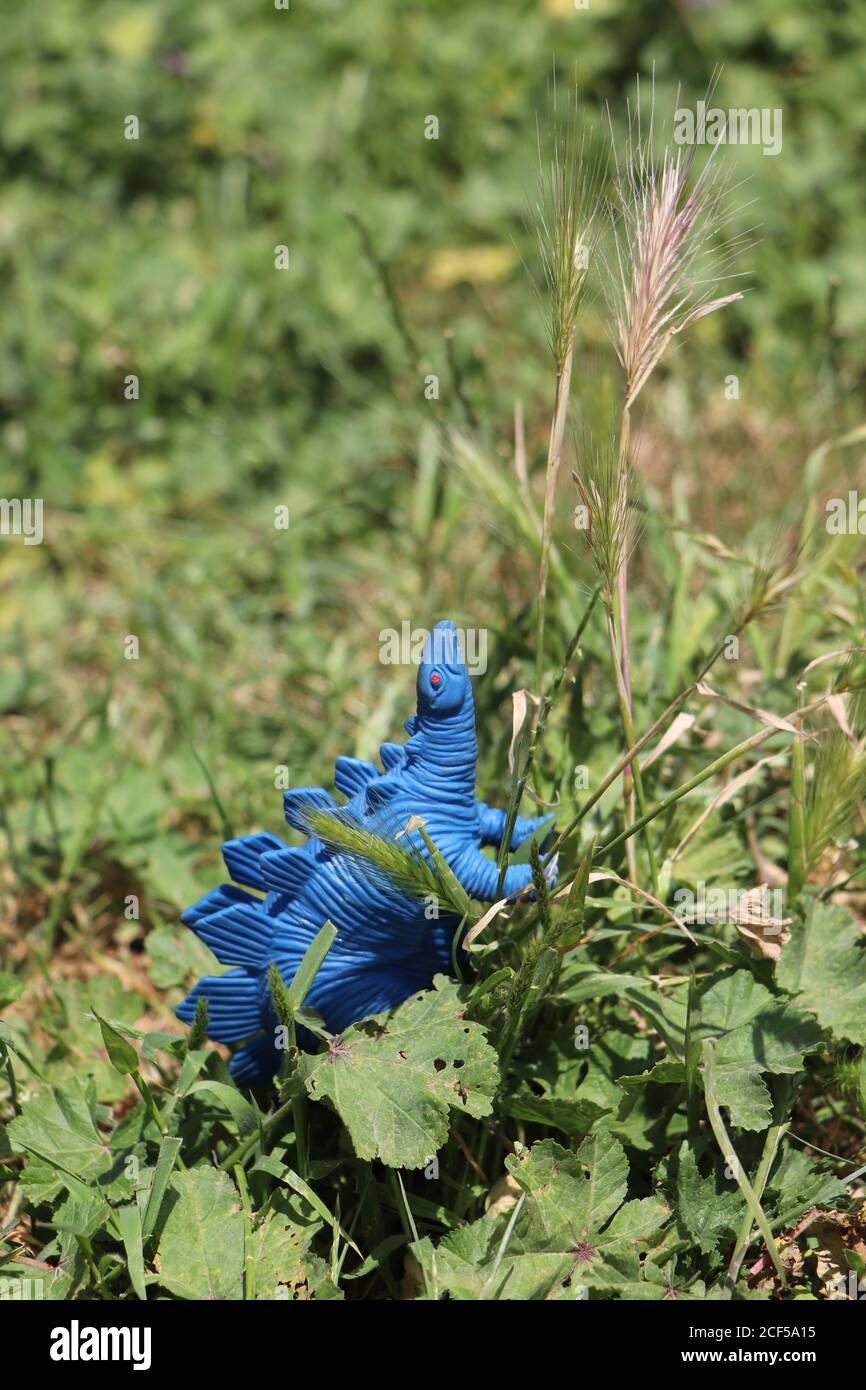 Blue Gummi stegosaurus Dinosaurier Spielzeug in einem Park Stockfoto