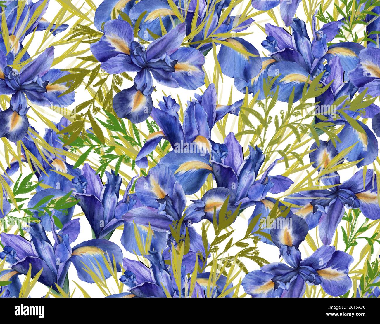 Hintergrund der Iris Blumen mit Laub. Nahtloses Muster. Aquarell Illustration. Stockfoto