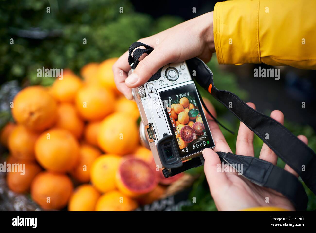 Von oben der Ernte anonyme Person mit digitaler Fotokamera Fotografieren von reifen Orangenfrüchten beim Besuch des Lebensmittelmarktes Stockfoto