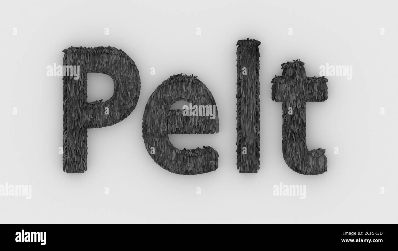 Pelz - graues Wort 3d isoliert auf weißem Hintergrund realistische Rendering von pelzigen Buchstaben Illustration. Natürliche Kombination Fell. Pelz Pelz. Tierfell. Hund, c Stockfoto