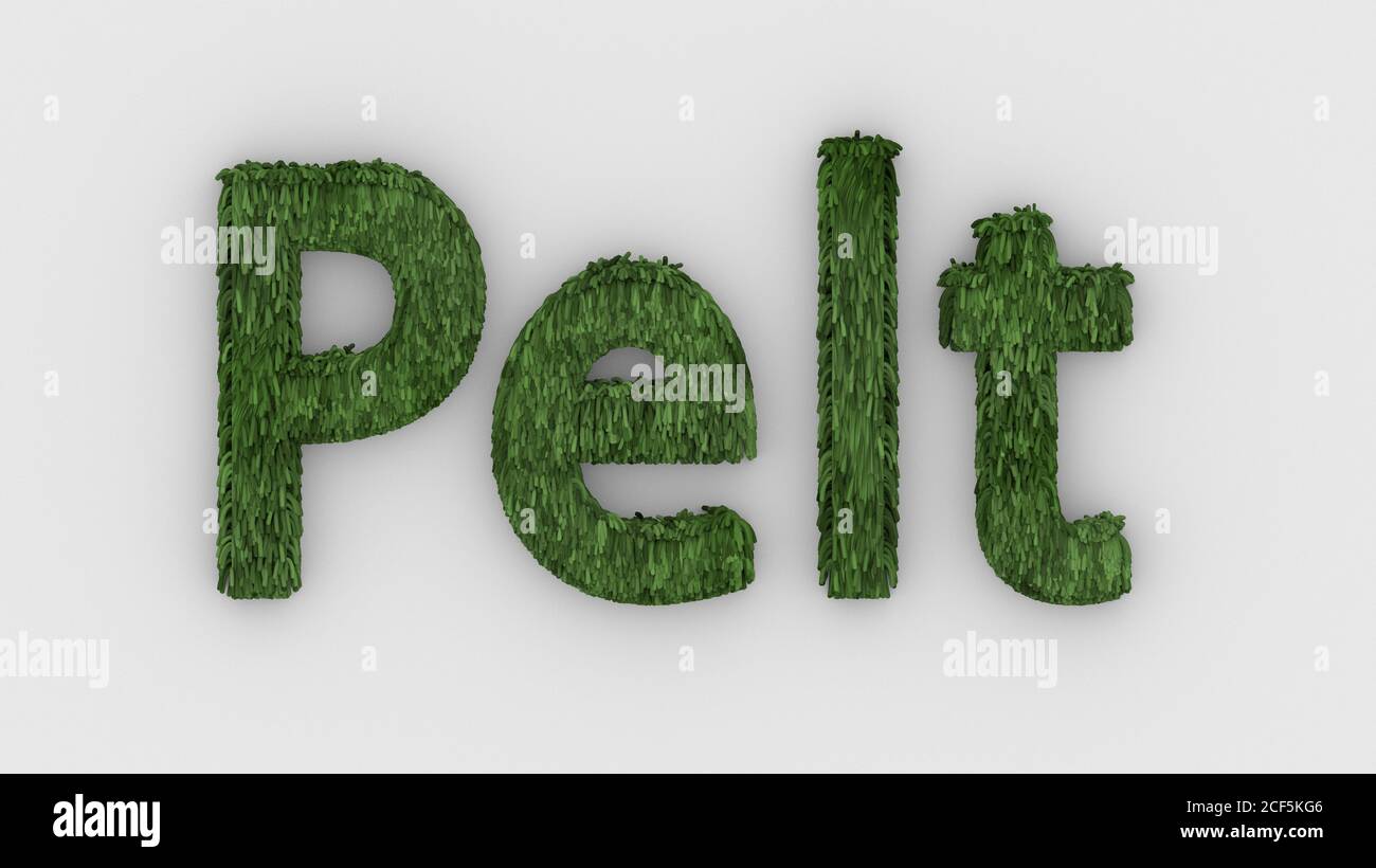 Pelt - grünes Wort 3d isoliert auf weißem Hintergrund realistische Rendering von pelzigen Buchstaben Illustration. Natürliche Kombination Fell. Pelz. Tierfell. Hund, Stockfoto