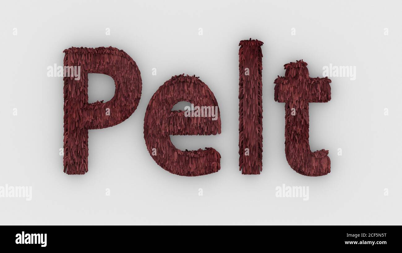 Pelz - rotes Wort 3d isoliert auf weißem Hintergrund realistische Darstellung von pelzigen Buchstaben Illustration. Natürliche Kombination Fell. Pelz. Tierfell. Hund, ca. Stockfoto
