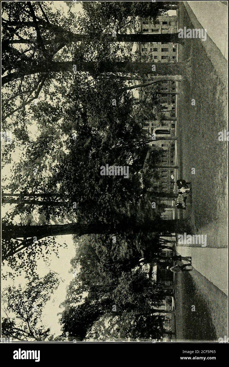 . Rekord der Klasse von achtzehn hundertsechsundsiebzig von Princeton Universität. Gleichen Himmel über der Spitze unserer Köpfe. Im Januar 1898, McKittrick war ein Gast des Princeton Club of New York bei seinem jährlichen Abendessen, wenn er eine rührende und beredte Adressat der Alumni. Auf der Jahrestagung der Princeton AlumniAssociation of St. Louis, im Mai letzten Jahres, wurde er zu einem der Vizepräsidenten gewählt. SAMUEL DAVIS MELTON. Gestorben Im Dezember 10,1880. [Siehe Datensatz Nr. IV, Seite 80.] REV. PAGE MILBURN, 812 Twentieth Street, Northwest, Washington, District of Co-lumbia. Er ist im Dienst der Methodi Stockfoto