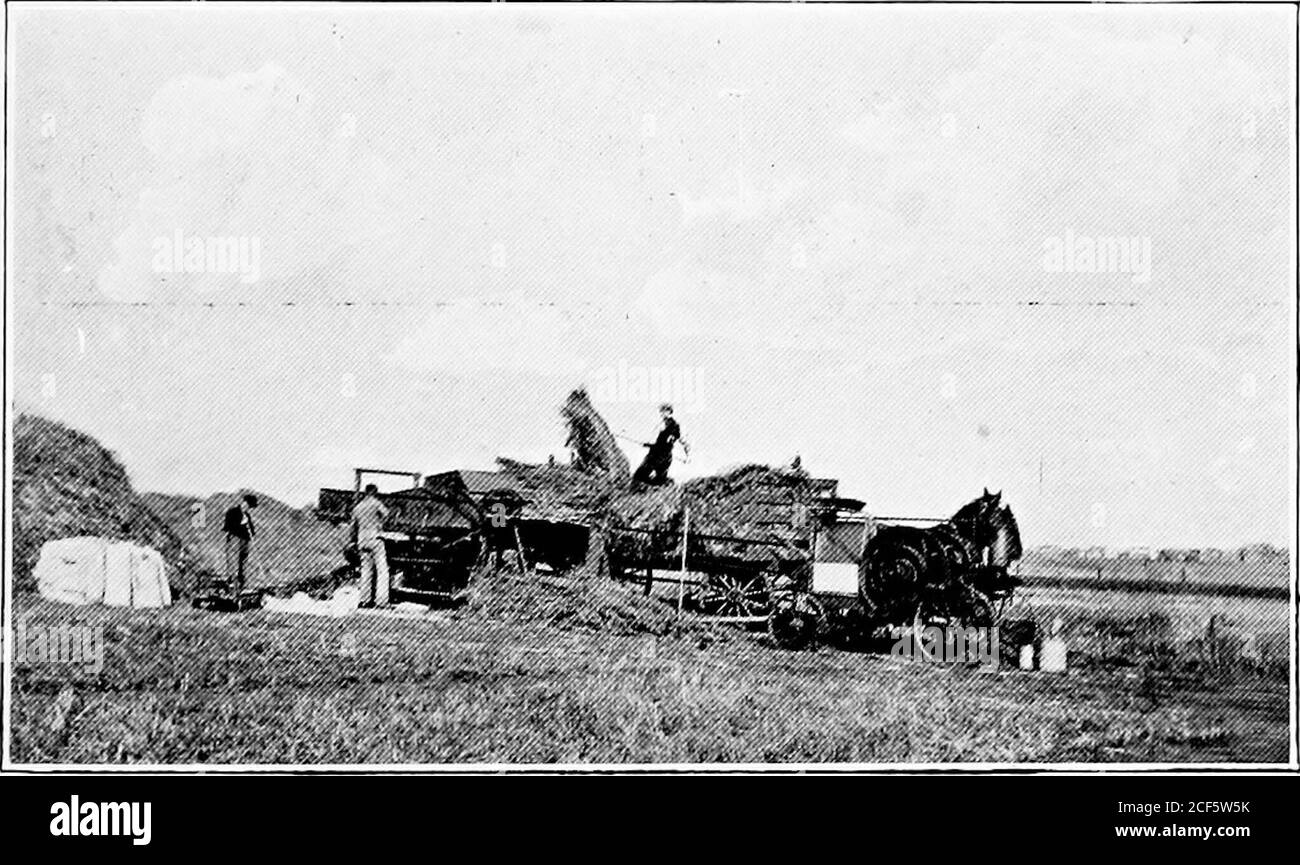 . Ein Führer zu den Versuchsfarmen und Stationen ... Line-up von Pferden, Scott.. Grundstücksdreschen bei Rosthern. 21294 – 8 114 DOMINION EXPERIMENTAL FARMS f* JW^JFR™, ?- :»r •.»«?*=?- ^^^g •* Farm House and Outljuildings, Lethbridge. DOMINION EXPERIMENTAL FARMS 115 EXPERIMENTAL STATION FOE NORTHERN SASKATCHEWAN, SCOTT, SASK. Diese Farm besteht aus dem N. E. Viertel von Section 17 und dem Teil des S. E. Viertels von Section 20 südlich des Grand Trunk Pacific, von Township 39, Range 20, westlich des dritten Meridians. Der Bahnhof befindet sich an der Hauptlinie der oben genannten Straße, und grenzt an die Stockfoto
