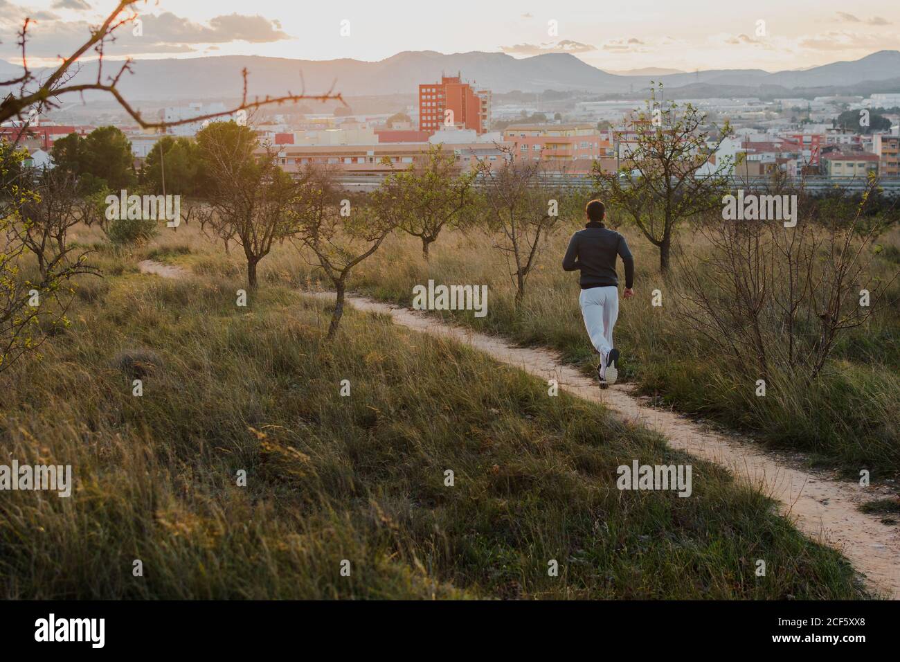 Mannliche Ruckenmuskulatur Stockfotos Und Bilder Kaufen Alamy