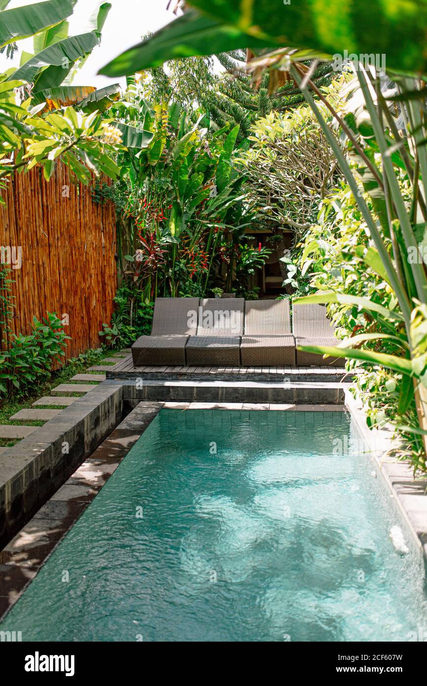 Gemtlicher Innenhof mit Pool, umgeben von tropischen Pflanzen und Bambus  Zaun in Bali Stockfotografie - Alamy