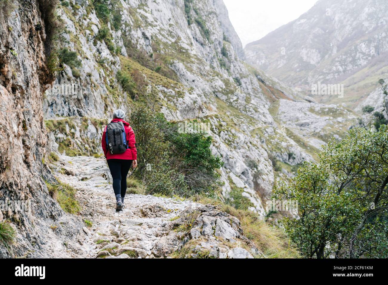 Rückansicht einer nicht erkennbaren aktiven Wanderin in roter Jacke mit schwerem Rucksack, die auf den Bergen in den Gipfeln Europas, Asturiens, Spaniens läuft Stockfoto