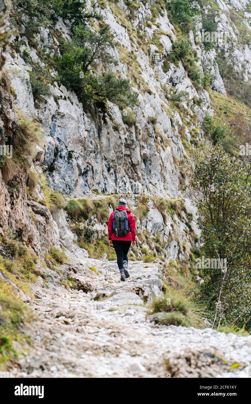 Rückansicht einer nicht erkennbaren aktiven Wanderin in roter Jacke mit schwerem Rucksack, die auf den Berg in den Gipfeln Europas, Asturias, Spanien blickt Stockfoto