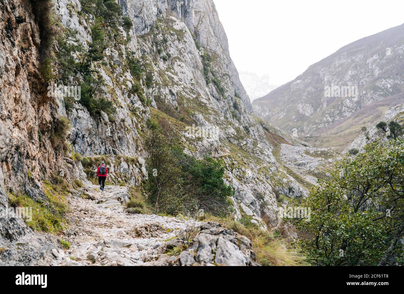 Rückansicht einer nicht erkennbaren aktiven Wanderin in roter Jacke mit schwerem Rucksack, die auf den Berg in den Gipfeln Europas, Asturias, Spanien blickt Stockfoto