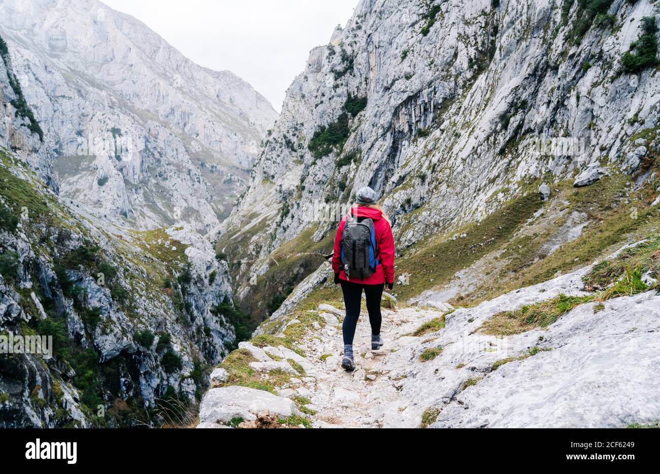 Rückansicht einer nicht erkennbaren aktiven Wanderin in roter Jacke mit schwerem Rucksack, die auf den Berg in den Gipfeln Europas, Asturias, Spanien blickt Stockfoto