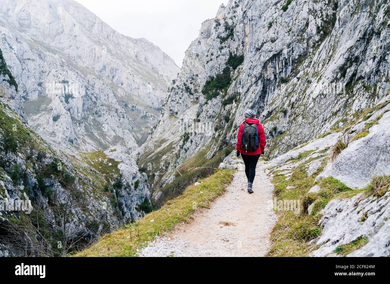 Rückansicht einer nicht erkennbaren aktiven Wanderin in roter Jacke mit schwerem Rucksack, die auf den Berg in den Gipfeln Europas, Asturias, Spanien blickt Stockfoto