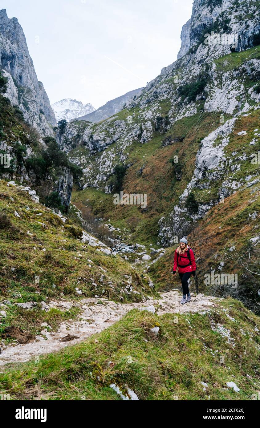 Aktive Wandererin in roter Jacke mit schwerem Rucksack, die auf die Kamera schaut, während sie in den Bergen in den Gipfeln Europas, Asturias, Spanien, läuft Stockfoto