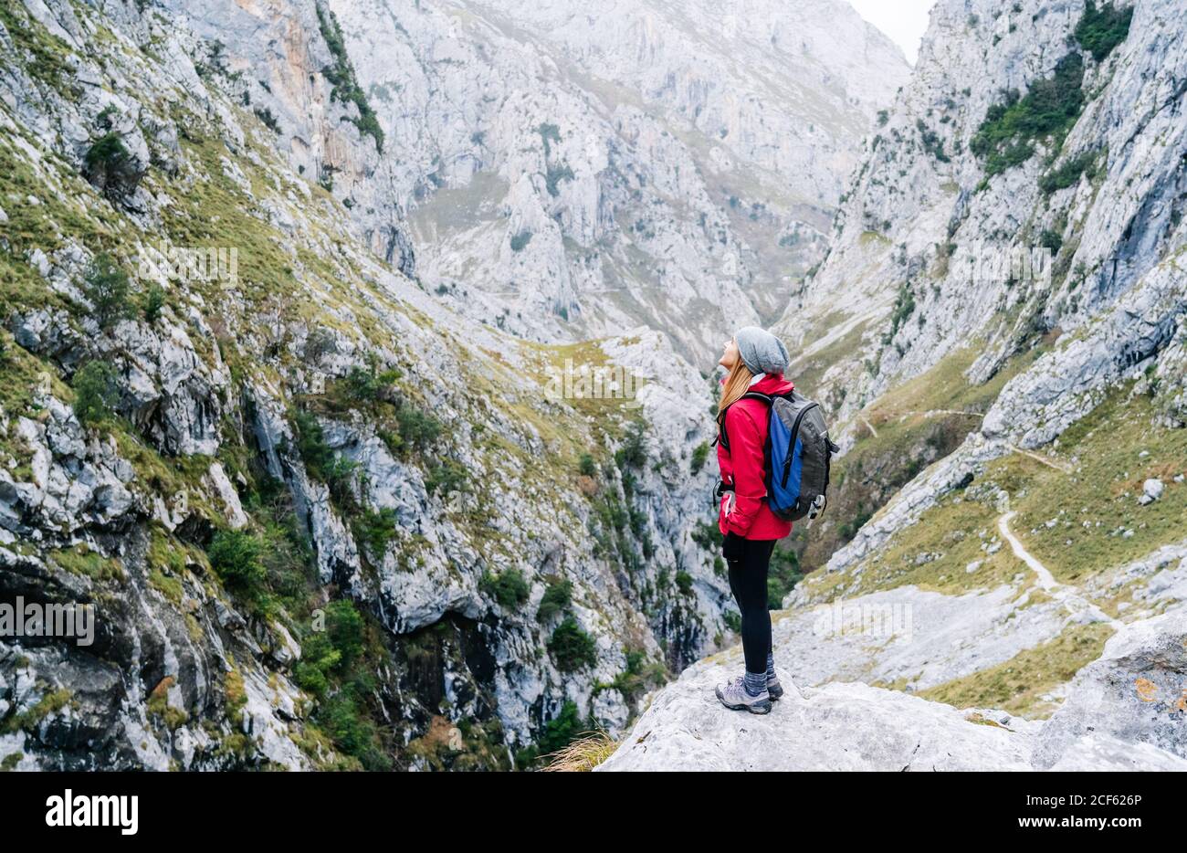 Seitenansicht einer aktiven Wandererin in roter Jacke mit schwerem Rucksack, die auf die Berge in den Gipfeln Europas, Asturiens, Spaniens blickt Stockfoto