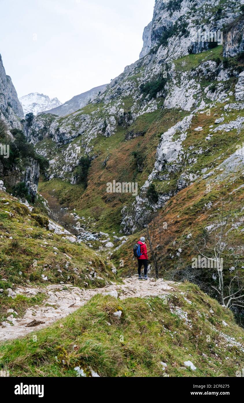 Rückansicht einer nicht erkennbaren aktiven Wanderin in roter Jacke mit schwerem Rucksack, die auf den Berg in den Gipfeln Europas, Asturias, Spanien blickt Stockfoto
