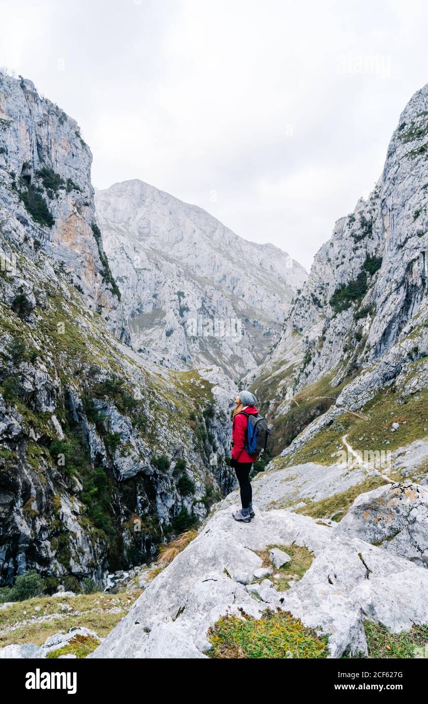 Seitenansicht einer aktiven Wandererin in roter Jacke mit schwerem Rucksack, die auf die Berge in den Gipfeln Europas, Asturiens, Spaniens blickt Stockfoto