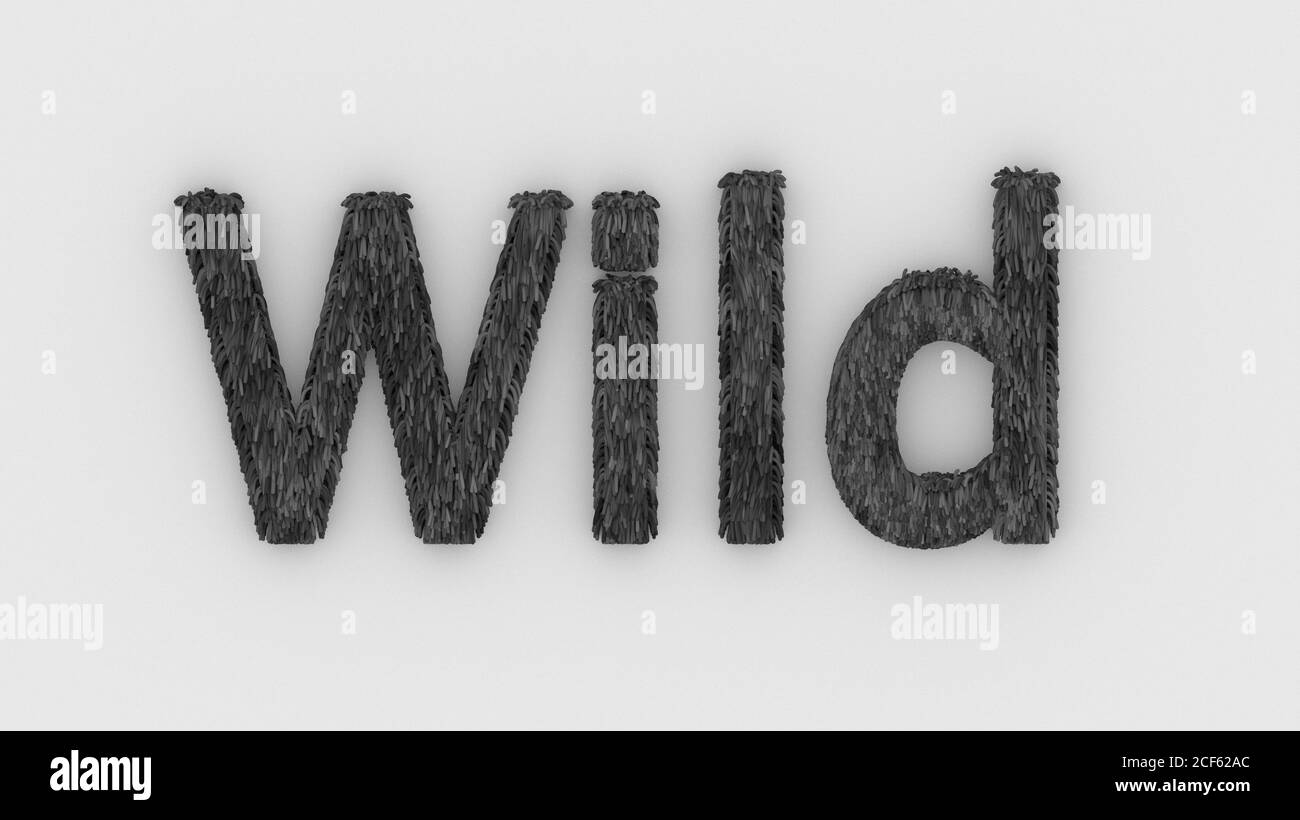 Wild - 3d Wort grau auf weißem Hintergrund. Render pelzigen Buchstaben. Haar. Wilds Fell. Emblem Logo Design-Vorlage. Wilde Tiere, Gefühl und Beziehungen. Stockfoto