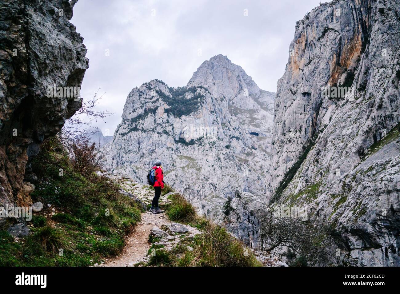 Seitenansicht einer nicht erkennbaren aktiven Wandererin in roter Jacke mit schwerem Rucksack, die auf die Berge in den Gipfeln Europas, Asturiens, Spaniens blickt Stockfoto