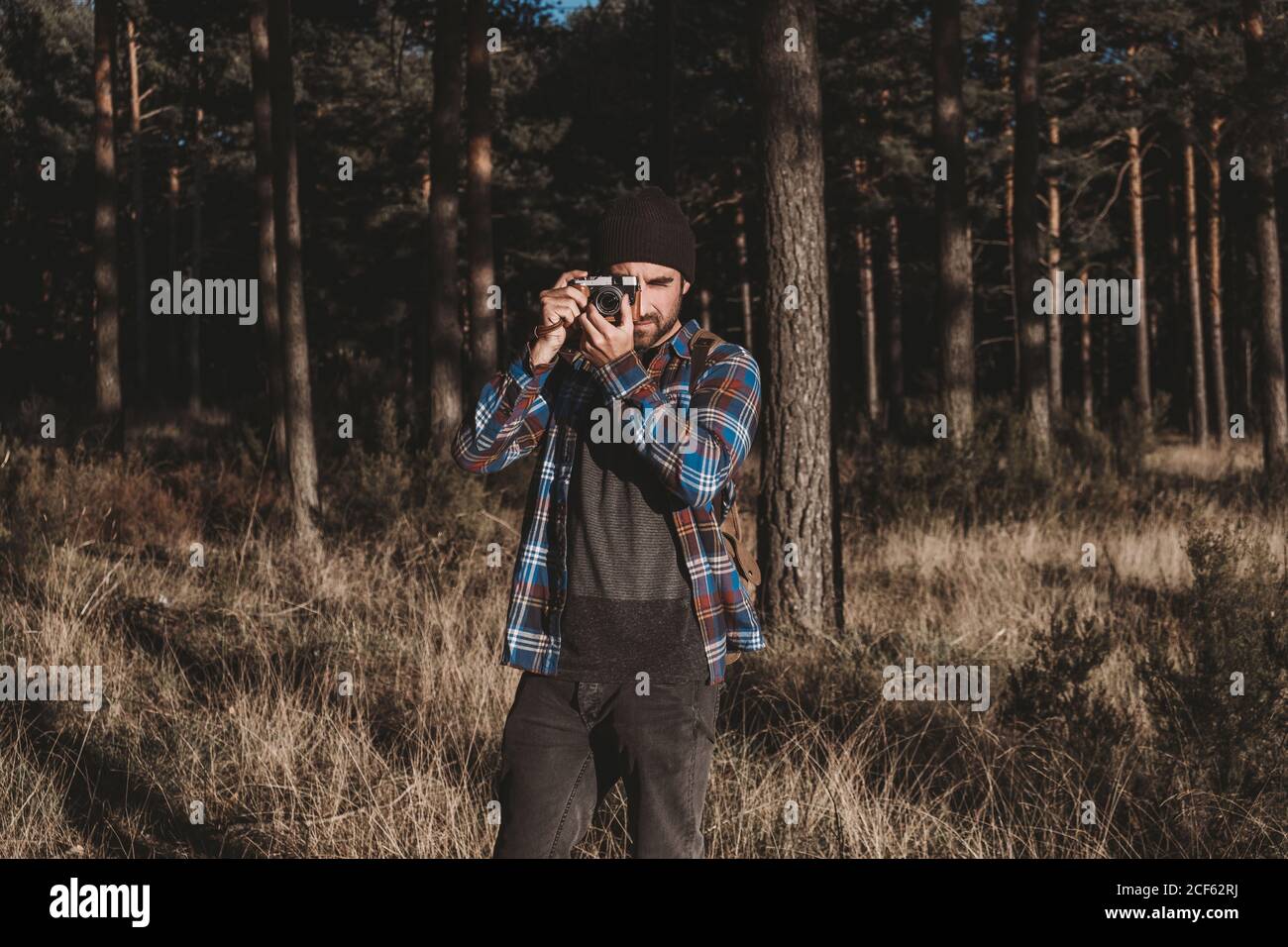 Bärtiger Mann im lässigen Outfit, der mit der Kamera fotografiert Stehend umgeben von immergrünen Bäumen und getrocknetem Gras auf Kälte Sonniger Tag Stockfoto