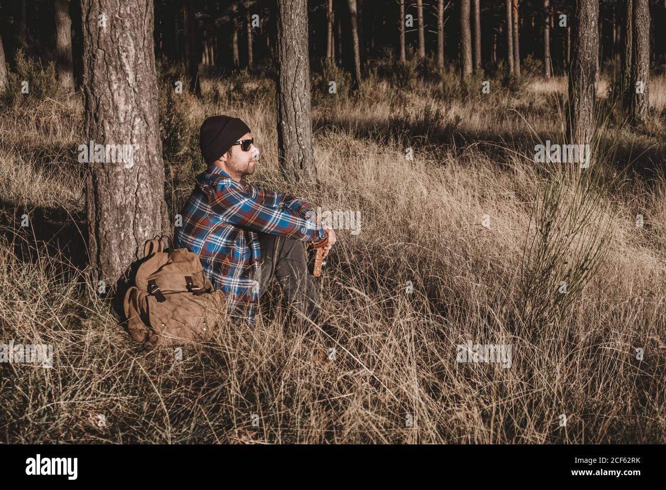 Entspannter Tourist, der am Baum im Wald ruht Stockfoto