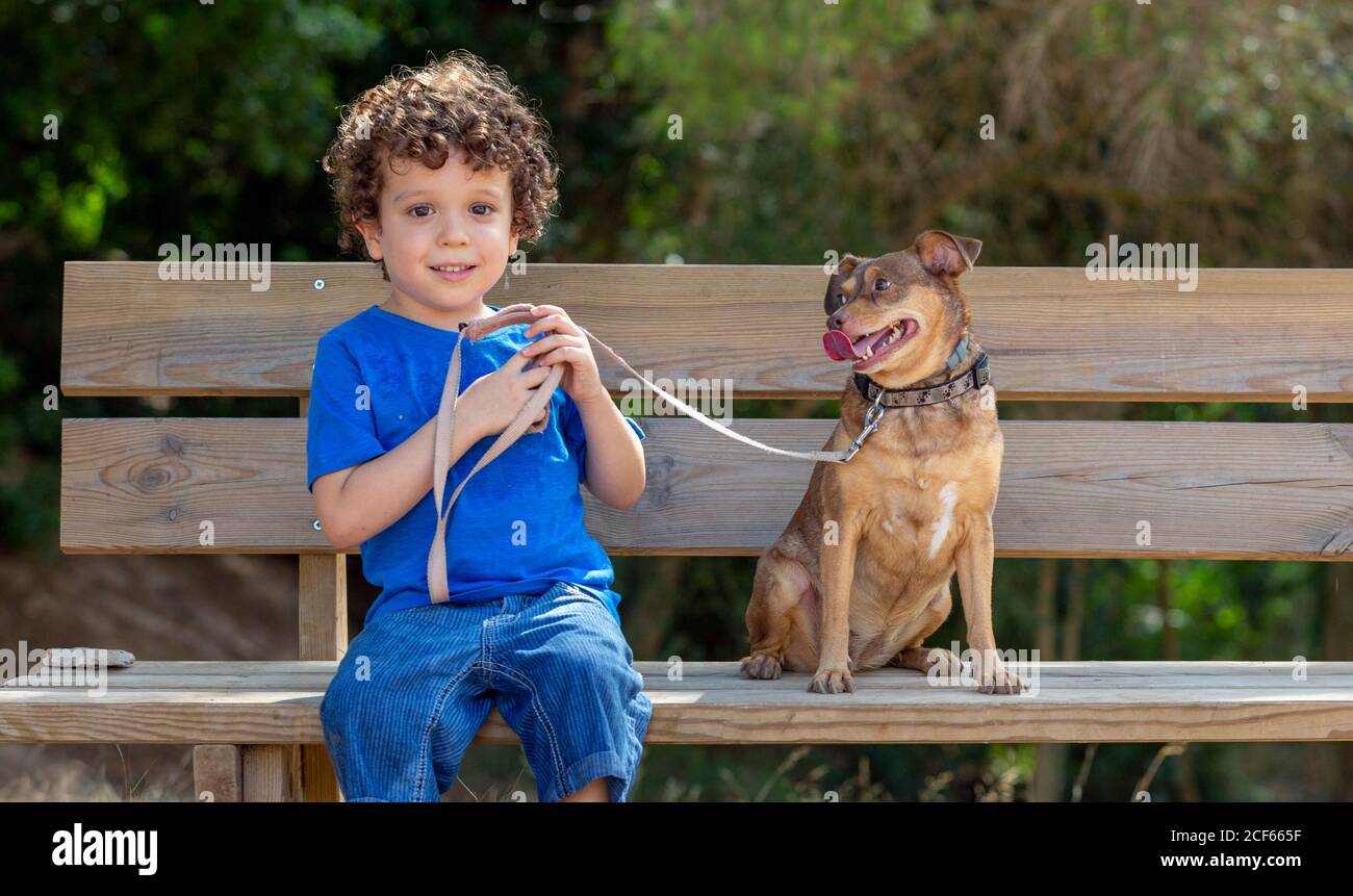 Hund und Kind auf einer Holzbank im Park sitzend, schaut der Hund auf das Kind, während das Kind nach vorne schaut, ohne die Leine loszulassen Stockfoto