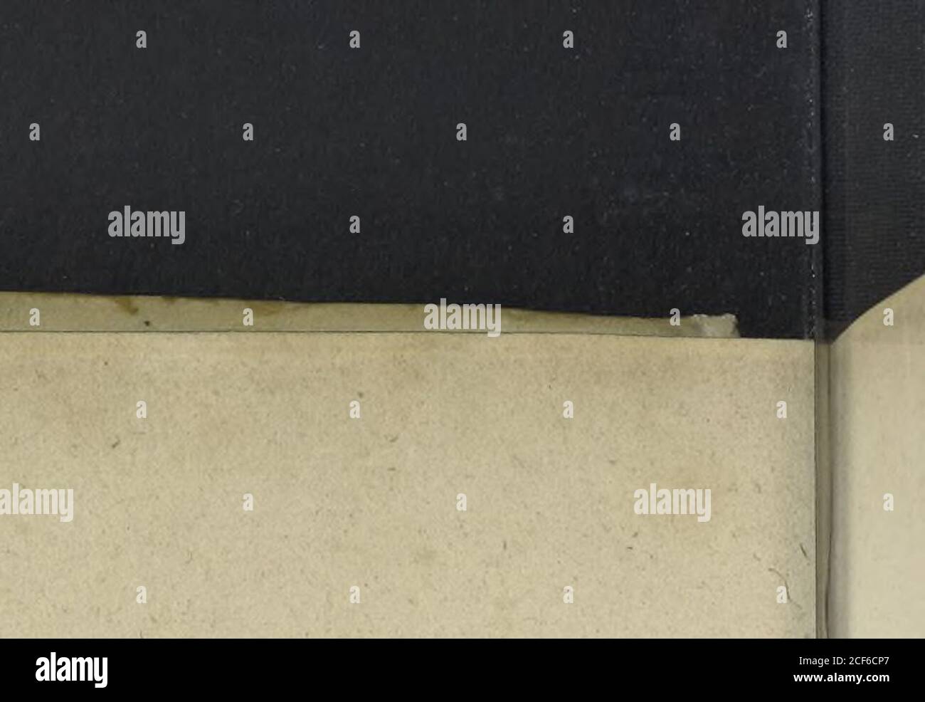 . Caesar Avgvstvs, sive, Historiae imperatorvm Caesarvmqve romanorvm ex antiqvis nvmismatibvs resttitvtae liber secvndvs : acessit Caesaris AVGVSTI vita et res gestae. ::?:- ,, ; .;;;?;?;? :?? l0 O s - :: ? -??;„is:: ^.-:on oc V. V;: O. ^ ^a UUUiUUUu!i;;;mrr;r; ; s :?; ;r ;?-;, - ; 0-^«:^mrubu-.U:U;cuf r ittenis aioais: -.;?;; ?i U iv:,;; r . ?••? ; ??•?•??-?-? Ruurbrruu- &gt; &lt; -:V ?-- ii:..-,!-;!.- ?=- «.:«*:«;:».: ISU :: C, , frr^ rUrr r r c PP,r:.b,:ur usi ;UC ?.-?. - . r - s-rrrrr Pruu ] r r.-.r :.. ?-.-. • - ??-?? ? ? f:kc - %;fr. , Stockfoto