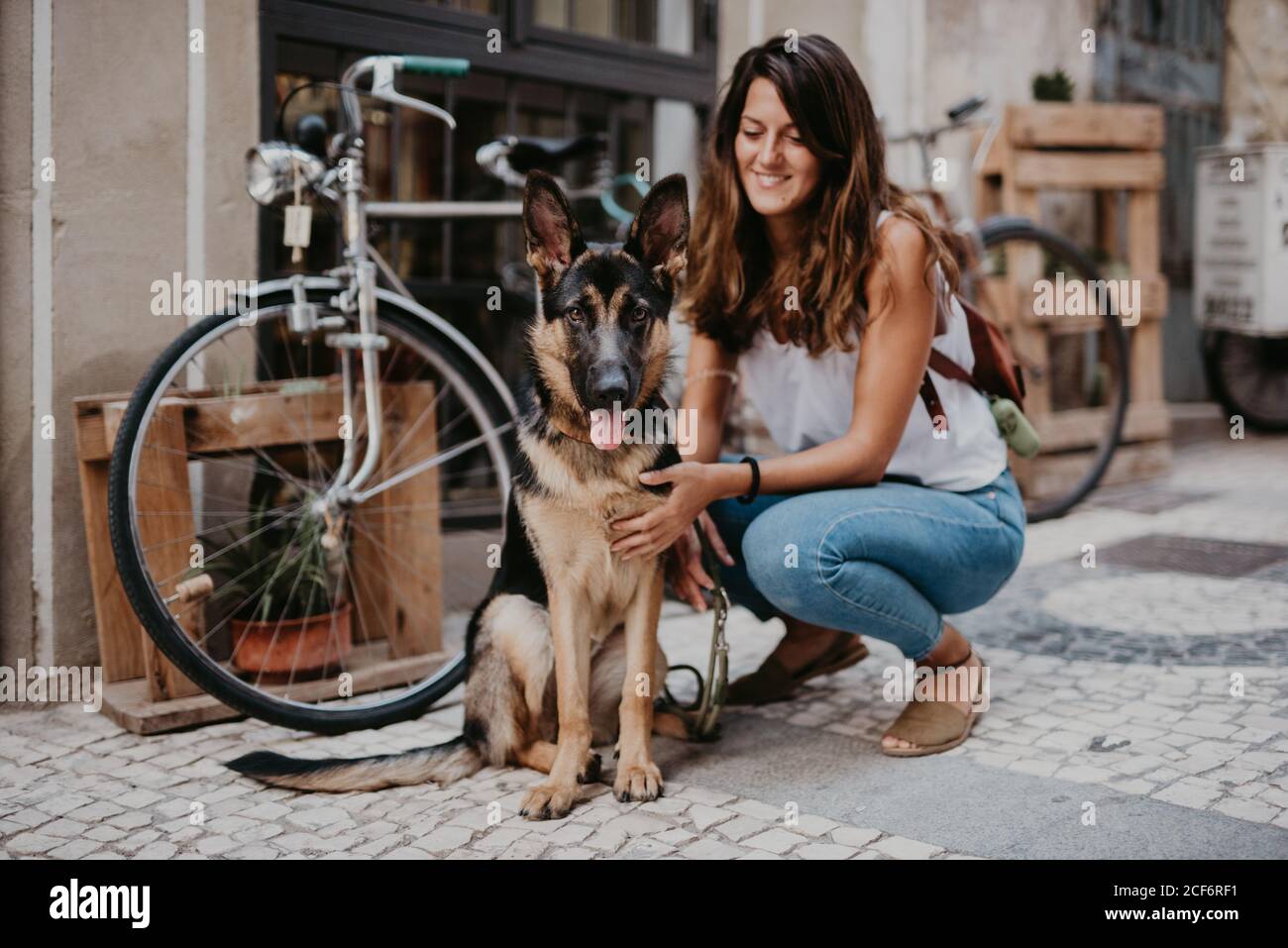 Nette deutsche Schäferhund stehen nahe Fahrrad auf Pflastersteinpflaster mit Besitzer kuscheln Stockfoto