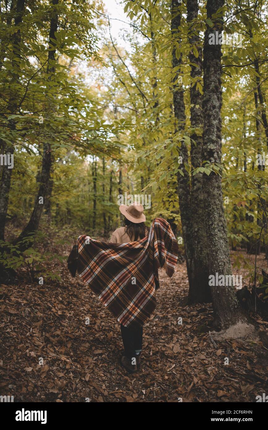 Rückansicht einer nicht erkennbaren jungen Frau in Hutumhüllung in kariertem Schal, während sie auf trockenen Blättern im Herbstwald steht Stockfoto