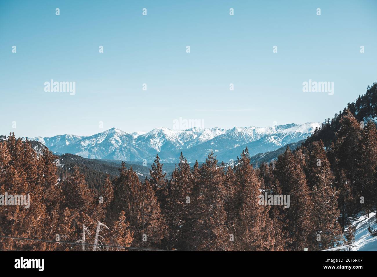 Panorama von hohen Hügeln mit grünen Wäldern im Winter Stockfoto